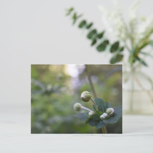 Natuur groene bloem tuintuinbouwfoto's briefkaart (Staand voorkant)