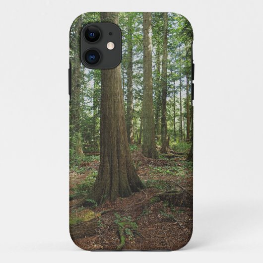 Natuur Groene bosbossen bossen Case-Mate iPhone Case (Achterkant)