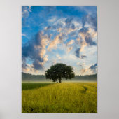 Natuur Groene gras Wilde Blauwe Zomer Poster (Voorkant)