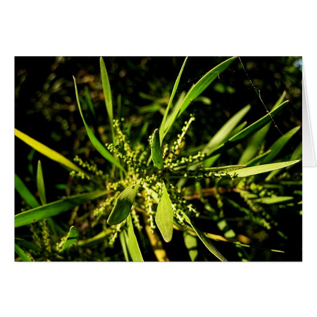 natuur groene Kaart (Voorkant Horizontaal)