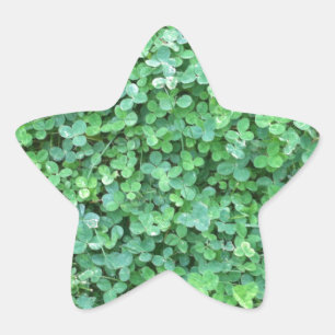 Natuur groene klaver foto ster sticker