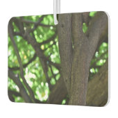 Natuur groene Wisteria Pergola Luchtverfrisser (Links)