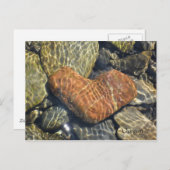 natuur hart briefkaart (Voorkant / Achterkant)