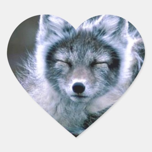 Natuur Hart Sticker (Voorkant)