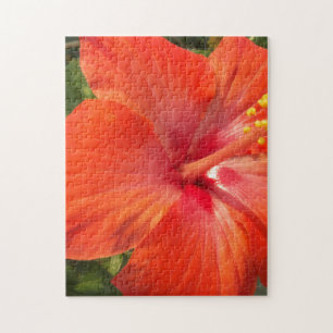natuur, hibiscus, bloem, zomer, bloemrijk, tropisc legpuzzel