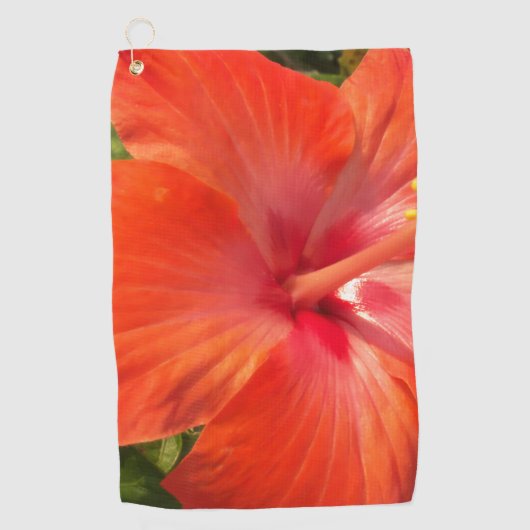 natuur, hibiscus, bloem, zomer, floreel, tropisch golfhanddoek (Voorkant)