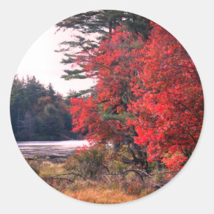 Natuur in de herfst Leaves Pond Ronde Sticker