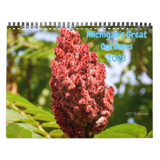 Natuur in Michigan Kalender (Hoes)