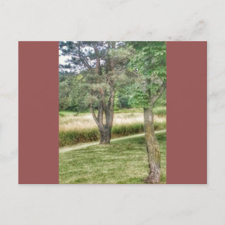 Natuur in schoonheid 2 briefkaart