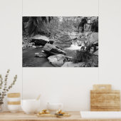 Natuur in zwart-wit poster (Keuken)