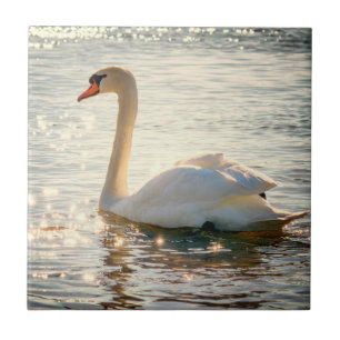 Natuur Inspiraties Elegant Swan Tegeltje