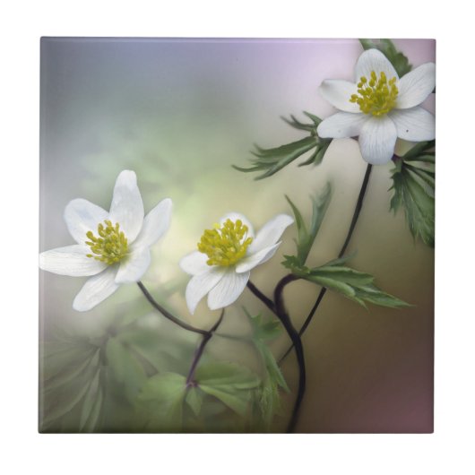 Natuur-inspiraties Fijne Witte bloemen Tegeltje (Voorkant)