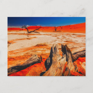 Natuur Inspiraties Namibië, Afrika  Briefkaart
