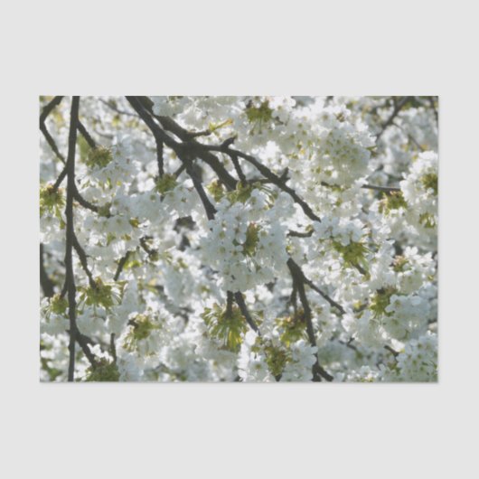 Natuur Inspirations Cherry Blossom Tissuepapier (Voorkant)