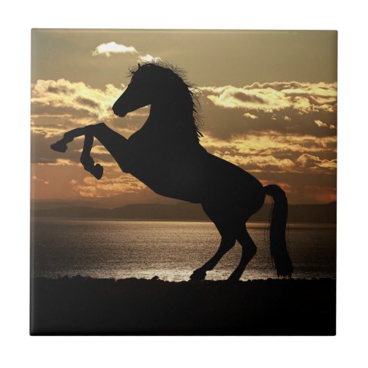 Natuur Inspirations Horse Silhouette Tegeltje (Voorkant)