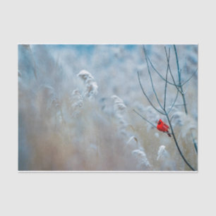 Natuur Inspirations Red Kardinaal in Wintry Forest Tissuepapier