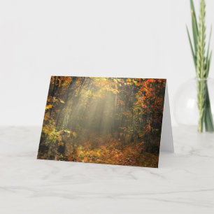 Natuur Inspirations Sun Drenched Forest Kaart