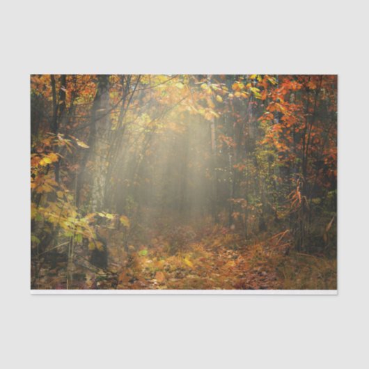 Natuur Inspirations Sun Drenched Forest Tissuepapier (Voorkant)
