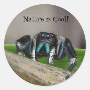 Natuur is Cool! Ronde Sticker