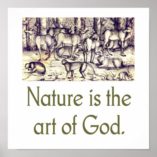 Natuur is de kunst van God Poster (Voorkant)