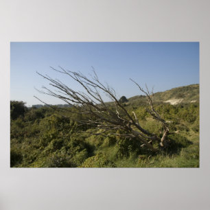 Natuur is soms eenzaam poster