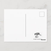 Natuur Jester en Sage Briefkaart (Achterkant)