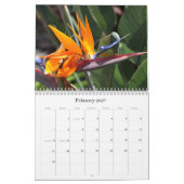 Natuur kalender (Feb 2027)