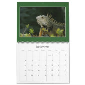 Natuur: Kalender voor land en Zee 2021 (Jan 2026)