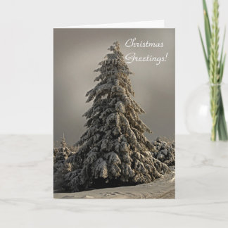 Natuur kerstboom - Wenskaart Feestdagen Kaart