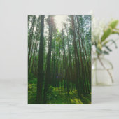 Natuur Landschap Forest Belarus Flat Kaart (Staand voorkant)