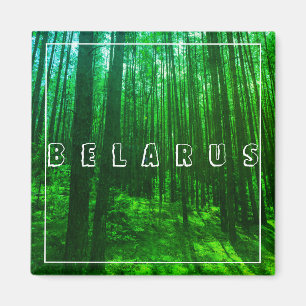 Natuur Landschap Forest Belarus Magnet Magneet