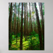 Natuur Landschap Kijk naar het Wit-Russische Poste Poster (Voorkant)