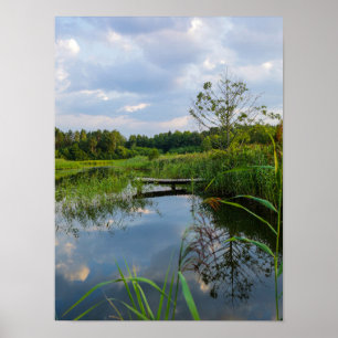 Natuur Landschap Lake Scenery Belarus Poster
