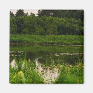 Natuur Landschap Scenery Forest Pond Magneet