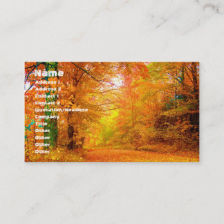 Natuur Landschap Vermont Autumn Visitekaartje