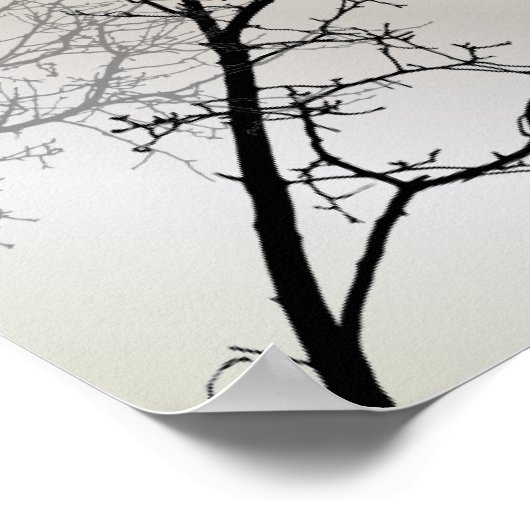 natuur landschap zwarte witte boom silhouet poster (Hoek)