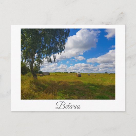 Natuur landschapslandschap Birch Tree Belarus Briefkaart (Voorkant)