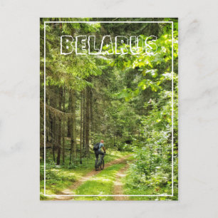 Natuur Landschapslandschap Bossen in Wit-Rusland Briefkaart