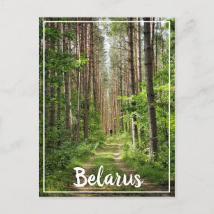 Natuur Landschapslandschap Bossen in Wit-Rusland Briefkaart