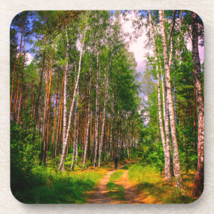 Natuur Landschapslandschap Forest Birch Belarus Bier Onderzetter