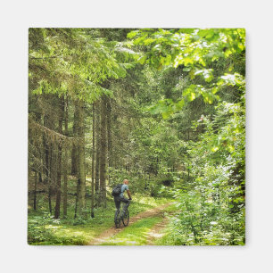 Natuur Landschapslandschapsbos Bot Wit-Rusland Magneet