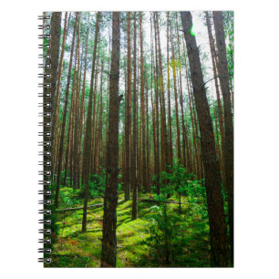 Natuur Landschapslandschapsbos Bot Wit-Rusland Notitieboek
