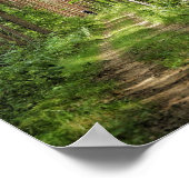 Natuur Landschapslandschapsbos Bot Wit-Rusland Poster (Hoek)