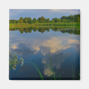 Natuur landschapslandschapsbos Wit-Russisch meer Magneet