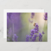 Natuur lavender Flower Honeybee (Voorkant / Achterkant)