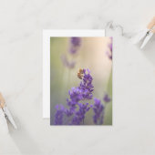 Natuur Lavender Flower Honeybee Kaart (Voorkant / Achterkant in situ)