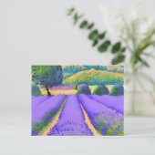 Natuur Lavender-velden Briefkaart (Staand voorkant)
