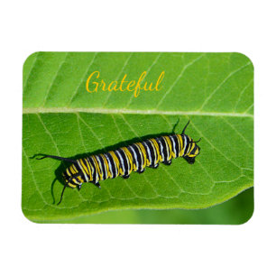 Natuur Lover Gratitude Magneet