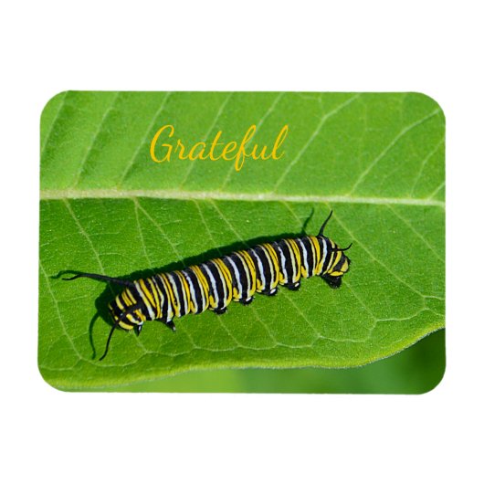 Natuur Lover Gratitude Magneet (Horizontaal)