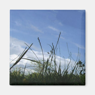 Natuur Magnet Magneet